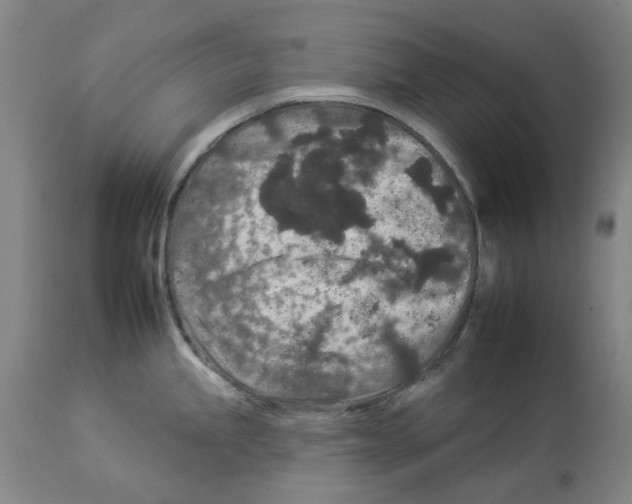 X0000112931245200910051124