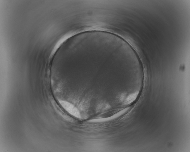 X0000112931246200910051124
