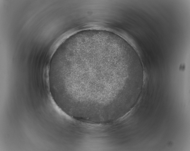 X0000112931247200910051124
