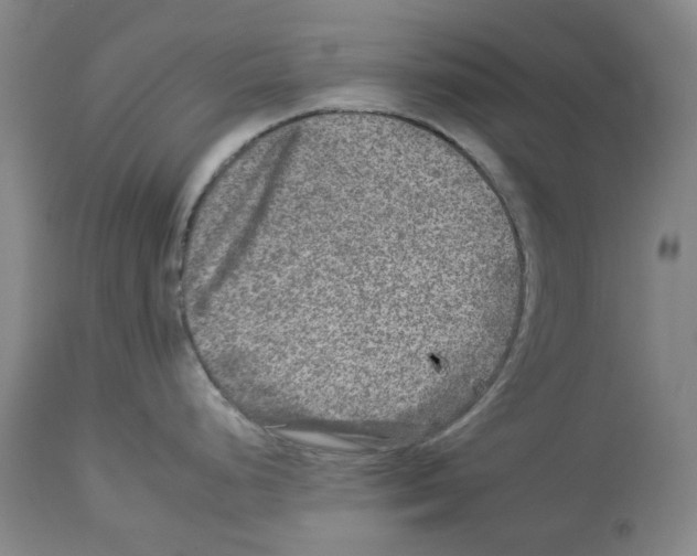 X0000112931248200910051124