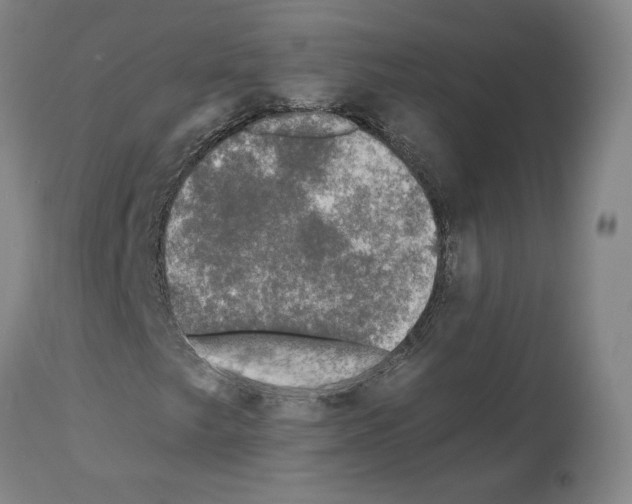 X0000112931249200910051123