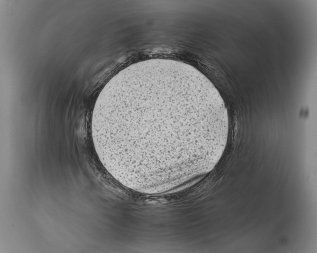 X0000112931250200910051123
