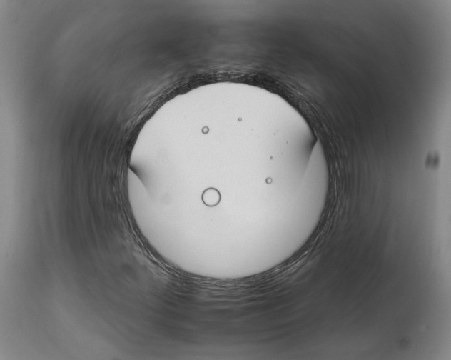 X0000112931252200910051123