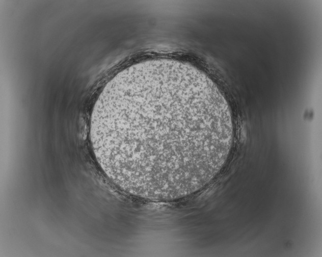X0000112931253200910051123