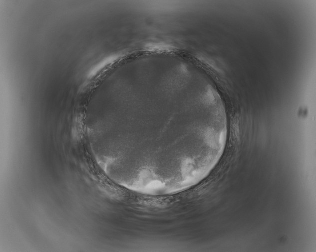 X0000112931254200910051123