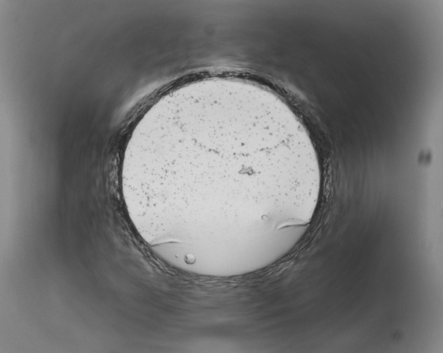 X0000112931255200910051123