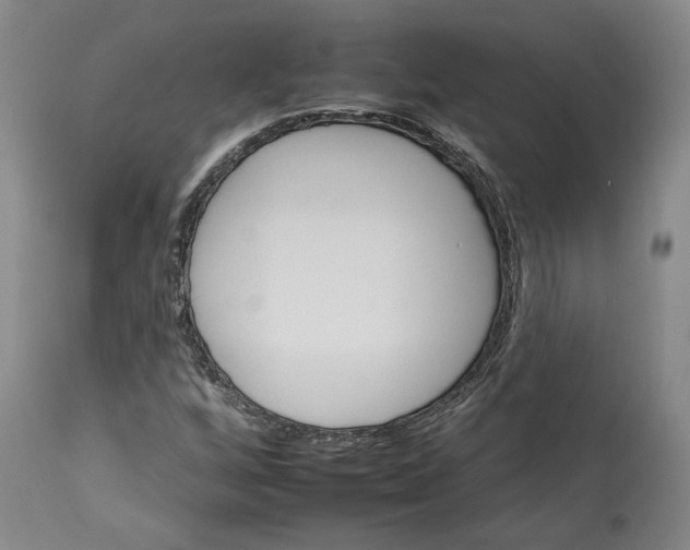 X0000112931256200910051123