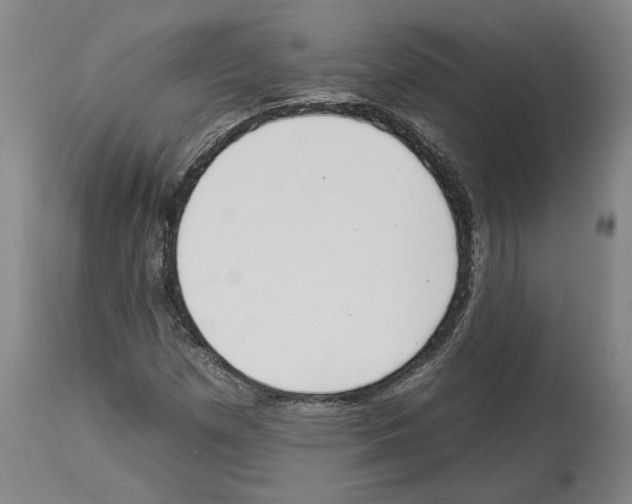 X0000112931257200910051123