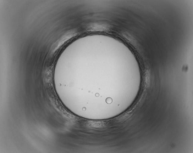 X0000112931258200910051123