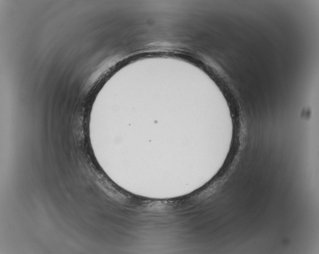 X0000112931259200910051123