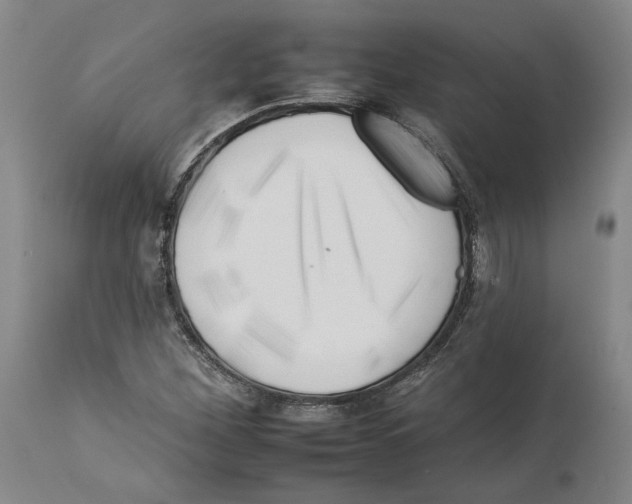 X0000112931260200910051123