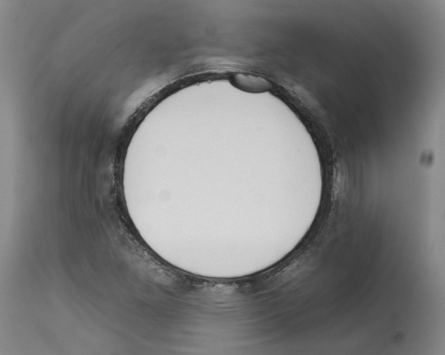 X0000112931261200910051123