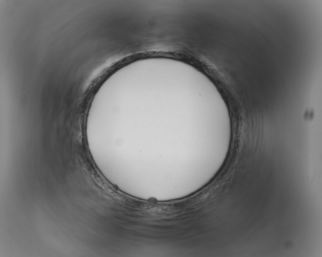 X0000112931262200910051123