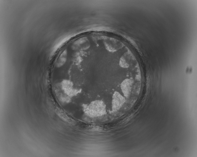 X0000112931263200910051123