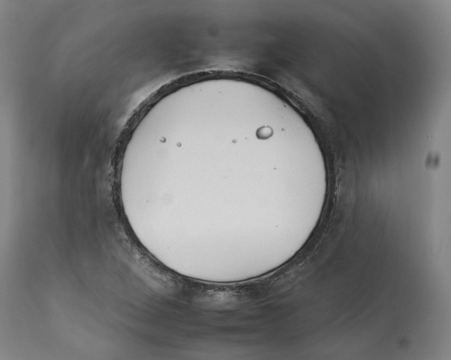 X0000112931264200910051123