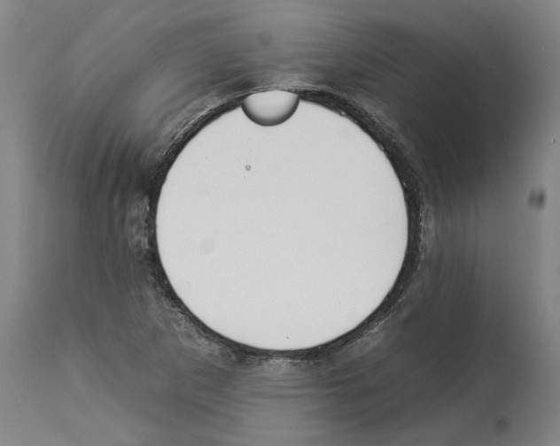 X0000112931265200910051123