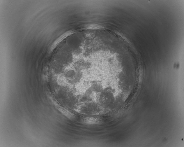 X0000112931266200910051123