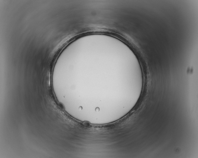 X0000112931269200910051123