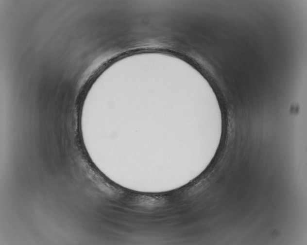 X0000112931270200910051123