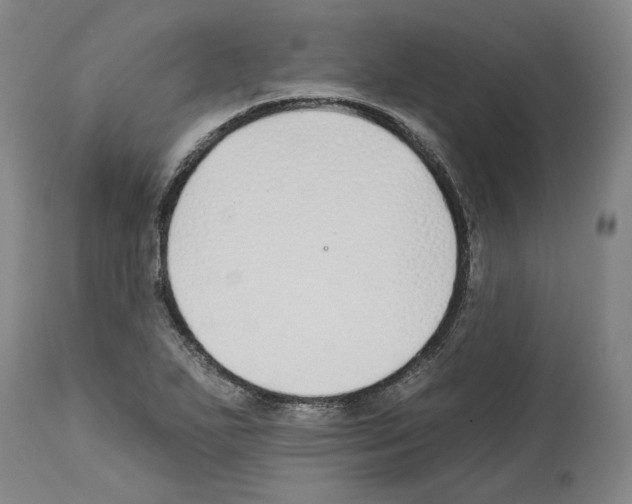 X0000112931271200910051123