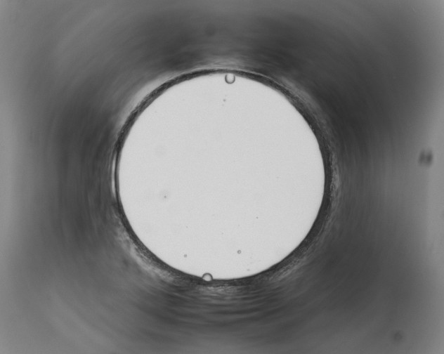 X0000112931272200910051123