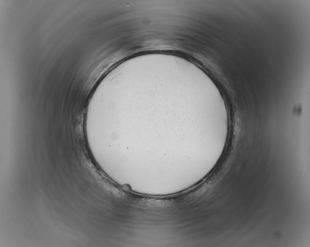 X0000112931273200910051123