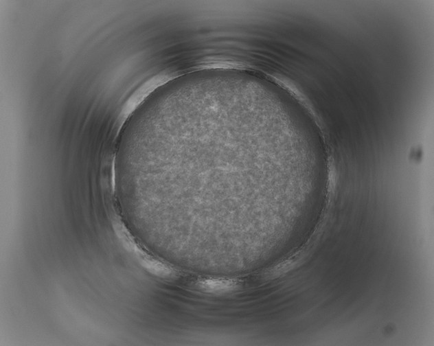 X0000112931274200910051123