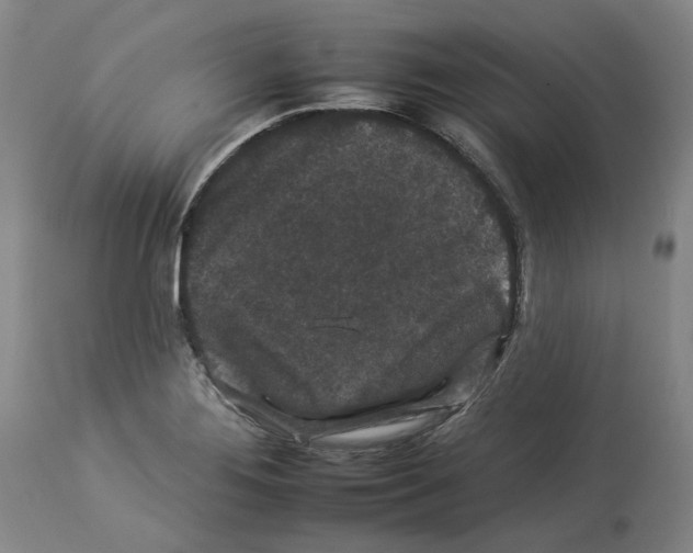 X0000112931276200910051123