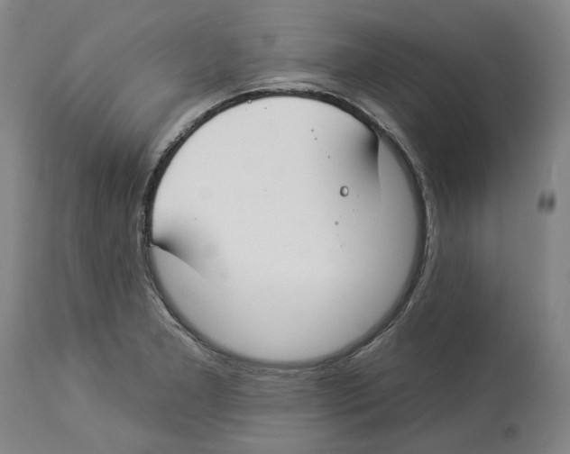 X0000112931277200910051123