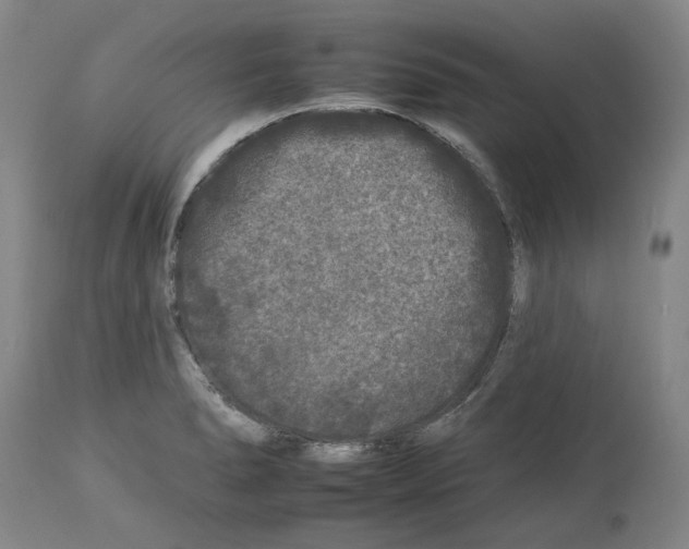 X0000112931278200910051123