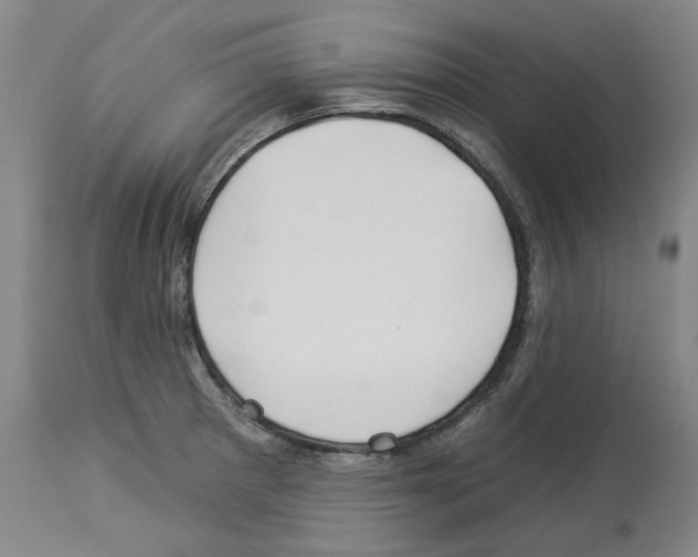 X0000112931281200910051123