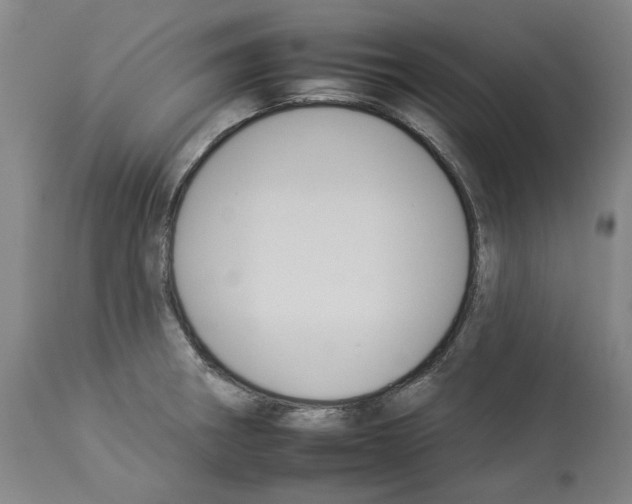 X0000112931282200910051123