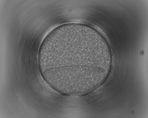 X0000112931283200910051123