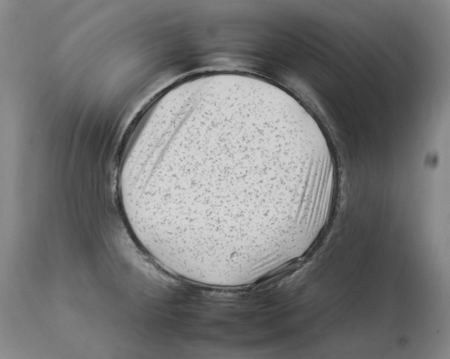 X0000112931284200910051123