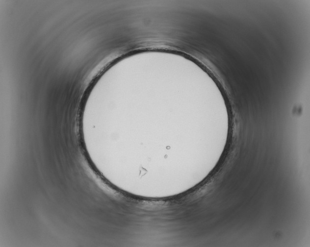 X0000112931285200910051123