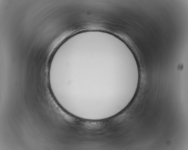 X0000112931286200910051123