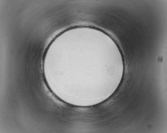 X0000112931287200910051123