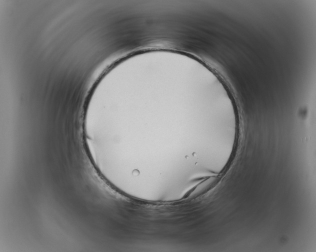 X0000112931288200910051123