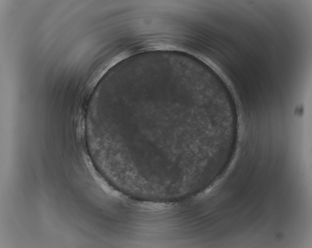 X0000112931289200910051123