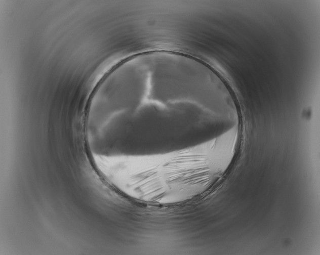 X0000112931291200910051123