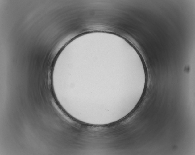 X0000112931293200910051123