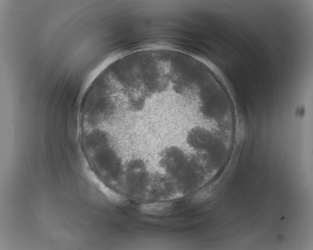 X0000112931294200910051123