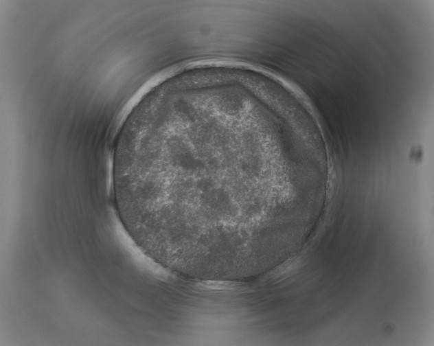 X0000112931295200910051123