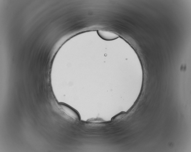 X0000112931296200910051123