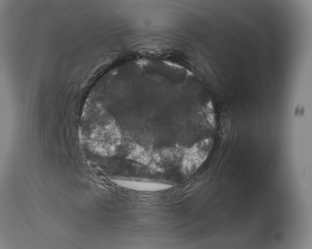 X0000112931297200910051122