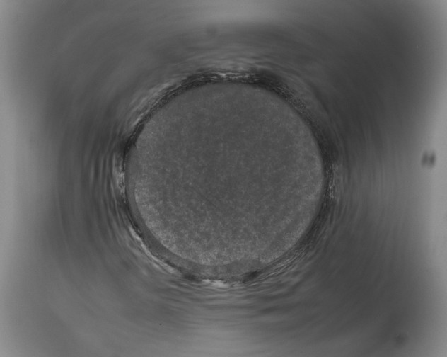X0000112931298200910051122