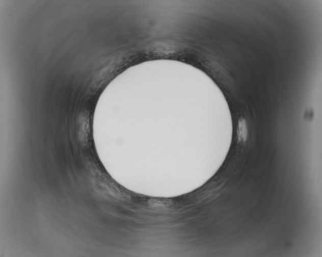 X0000112931299200910051122