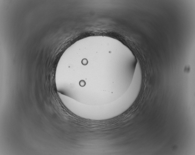 X0000112931300200910051122