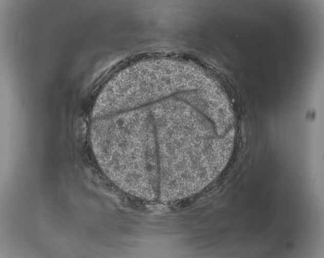 X0000112931302200910051122