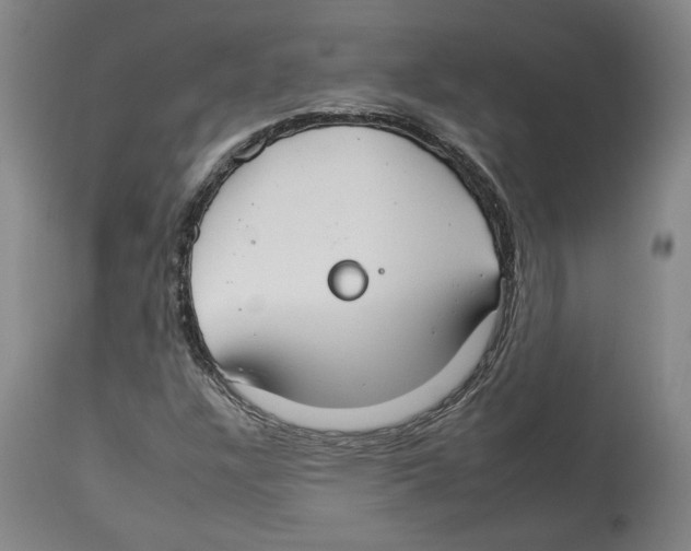 X0000112931304200910051122